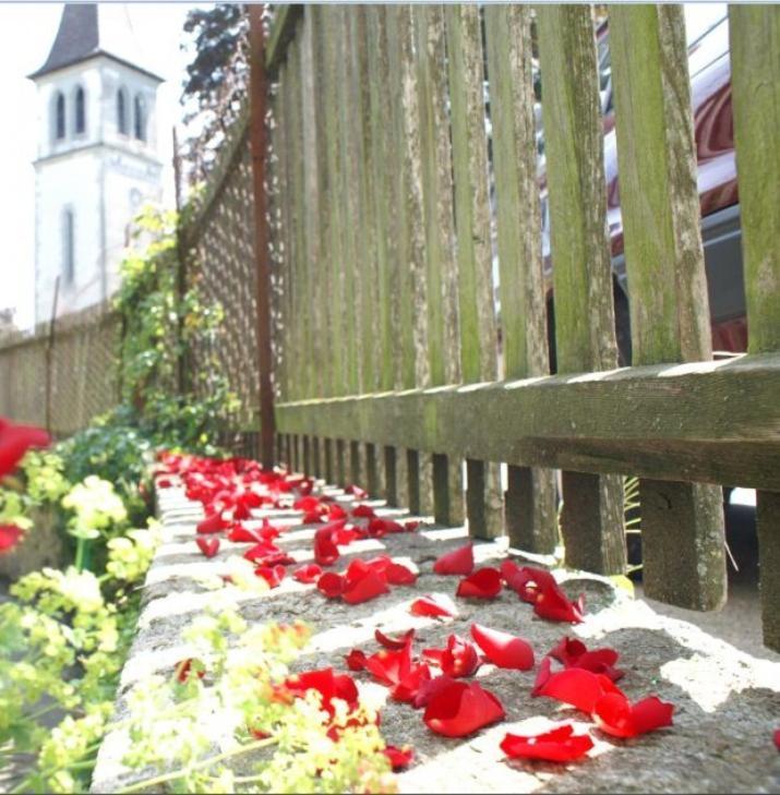 Ringmauer Hotell Murten Eksteriør bilde
